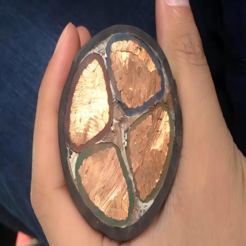 WDZ-FSY-YJY交聯聚乙烯低煙無鹵防鼠防白蟻電纜